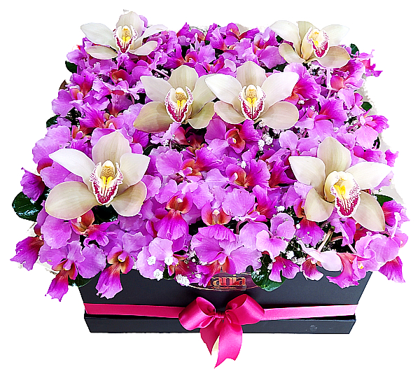 orquideas hawaianas en caja, irania floristeria bogota