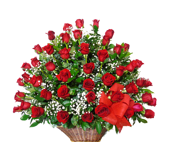 48 Rosas Irania Floristería | " Aina Grande (48 rosas) - Irania Floristería