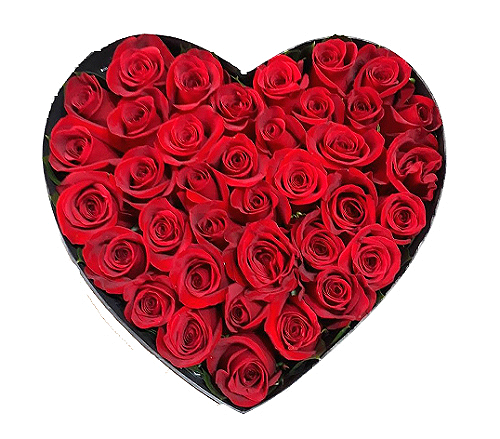 corazon de rosas . irania floristeria bogota