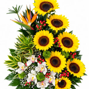 girasoles irania floristeria