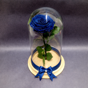 rosas preservadas irania floristeria